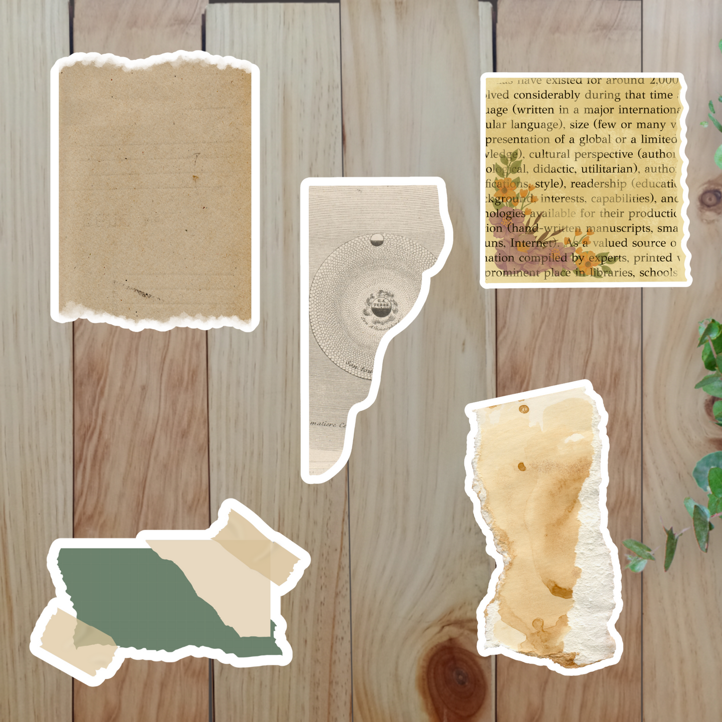 Vintage Paper Stickers (20-Piece) Sunny Sky Studio