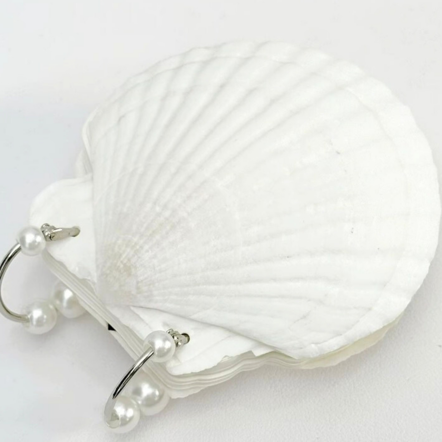 Creative Natural Shell Notebook – Cute Loose Leaf Adhesive Memo Pad (30 Sheets) Sunny Sky Studio