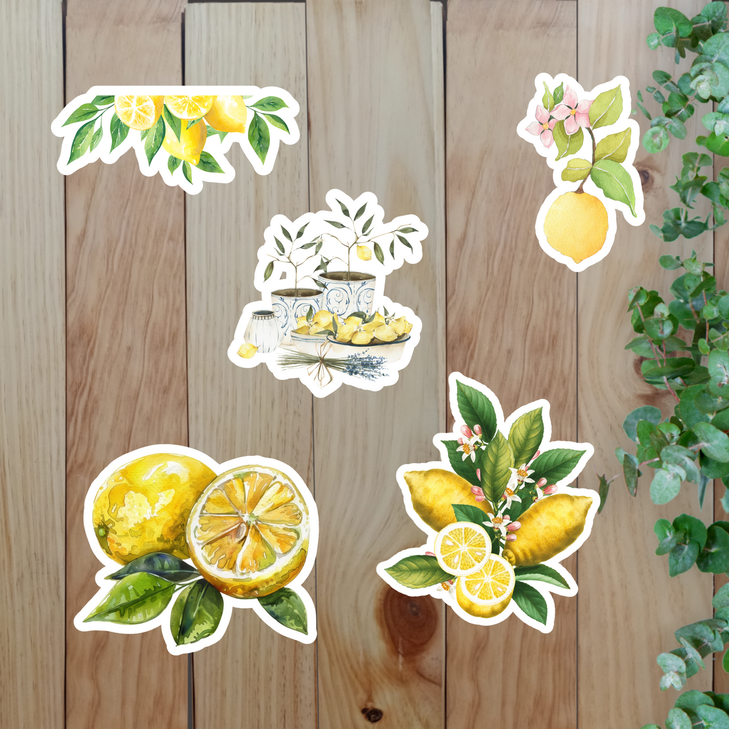 Fresh Lemon Stickers (20-Piece) Sunny Sky Studio