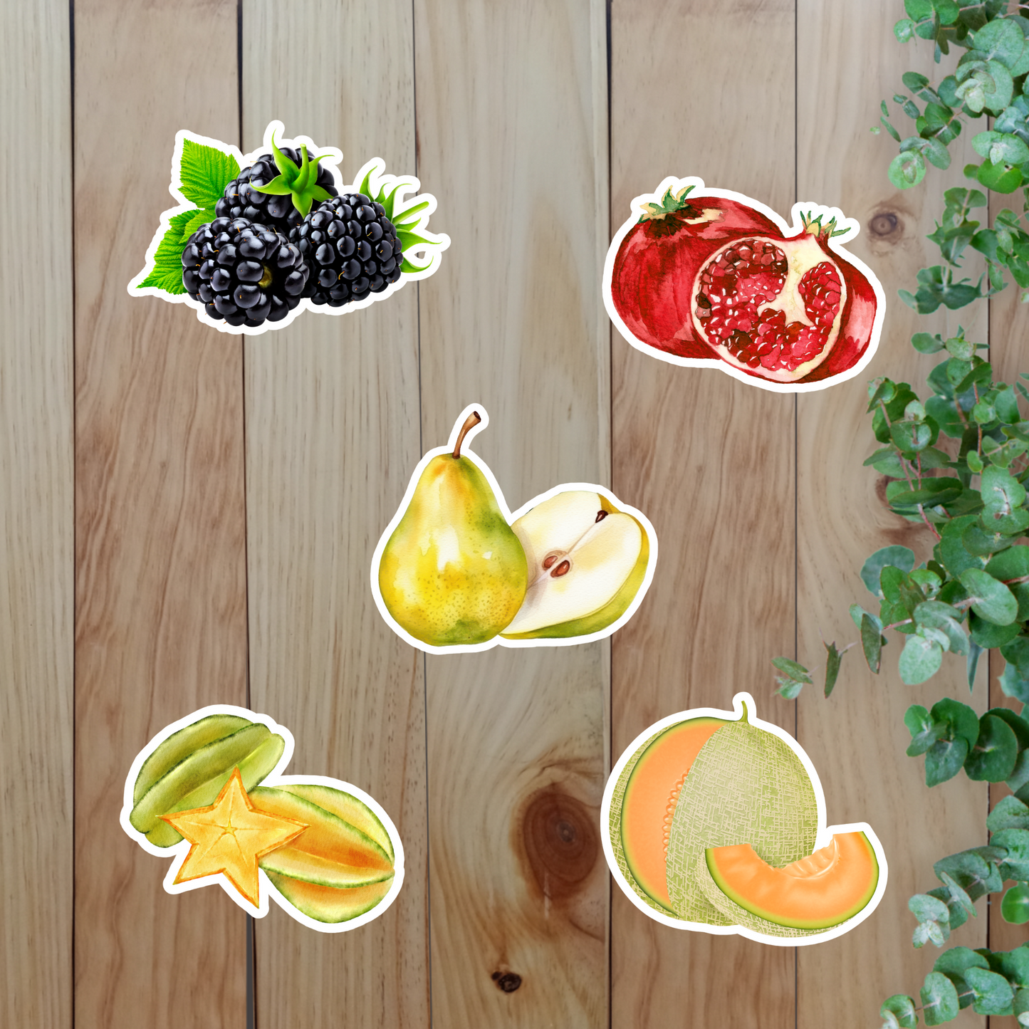 Fresh Fruit Fun Sticker (20-Piece) Sunny Sky Studio