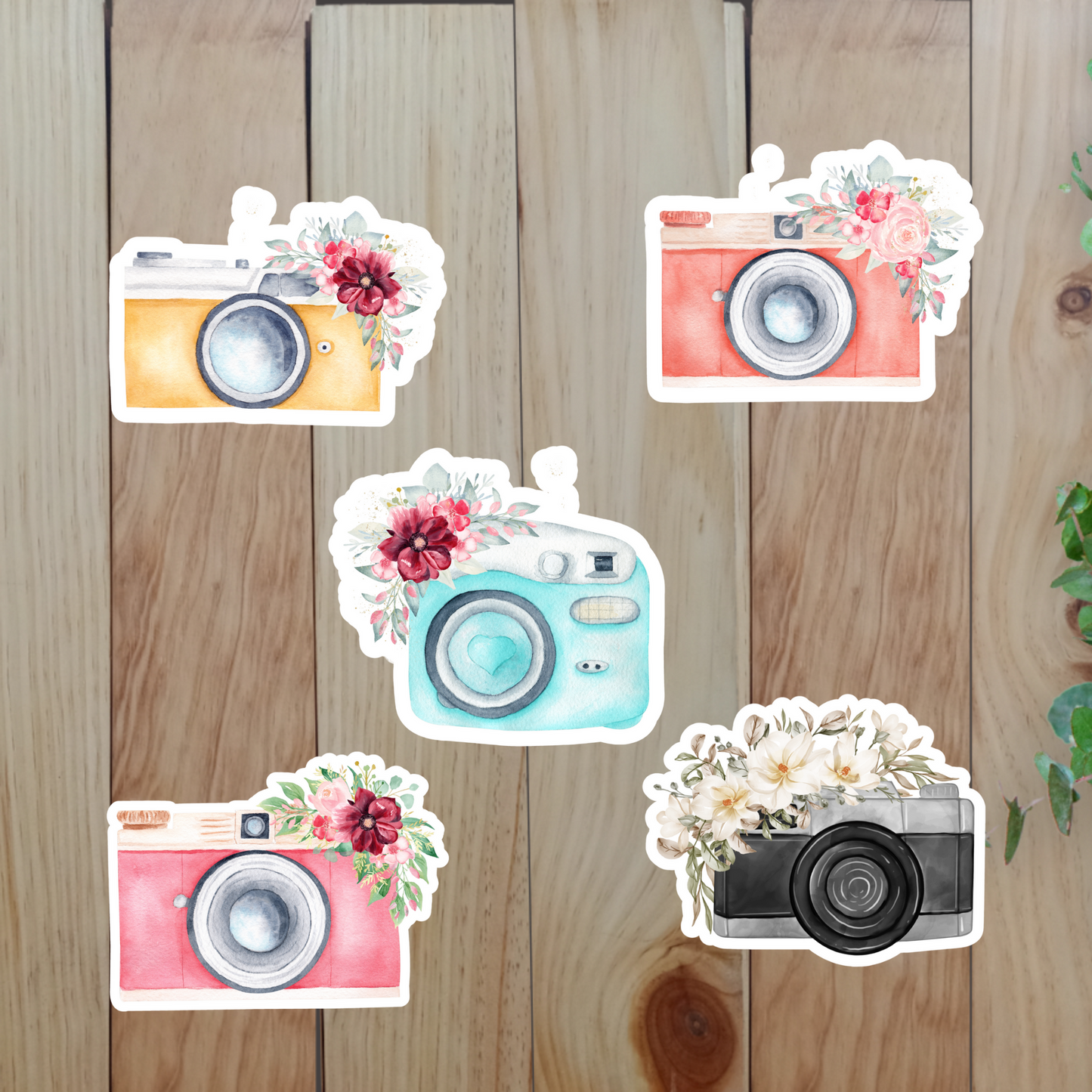Vintage Camera & Flower Stickers (20-Piece) Sunny Sky Studio