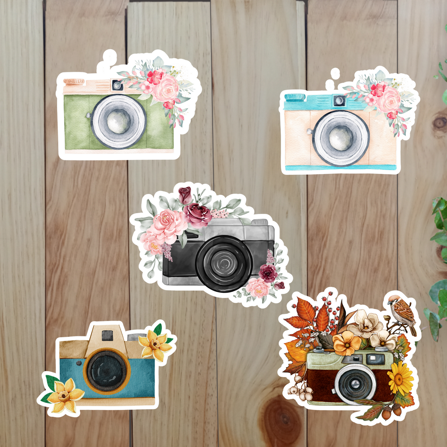 Vintage Camera & Flower Stickers (20-Piece) Sunny Sky Studio