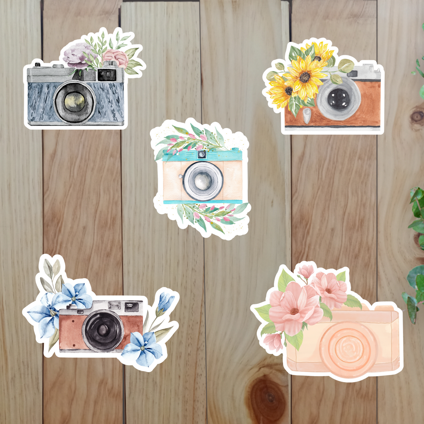 Vintage Camera & Flower Stickers (20-Piece) Sunny Sky Studio