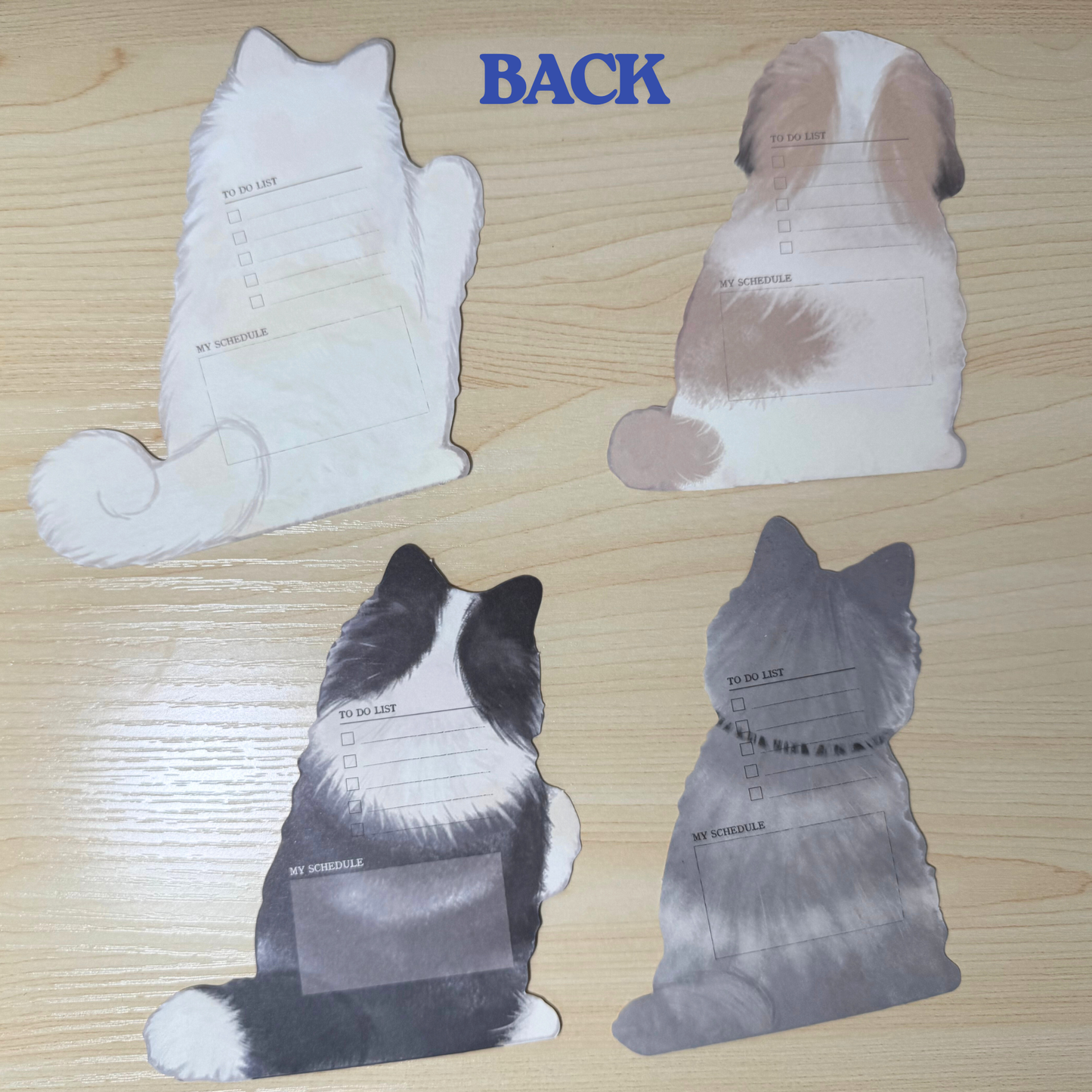 3D Dogs Desk Calendar Sunny Sky Studio